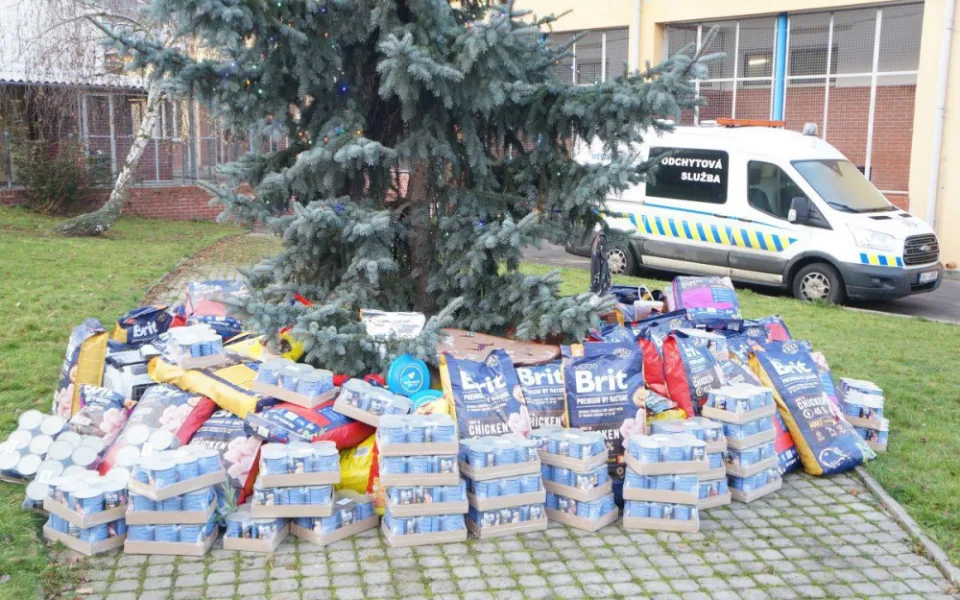 Zvířátka v útulku v Troji dostali předčasnou nadílku v podobě více než 1000 kilogramů granulí a konzerv