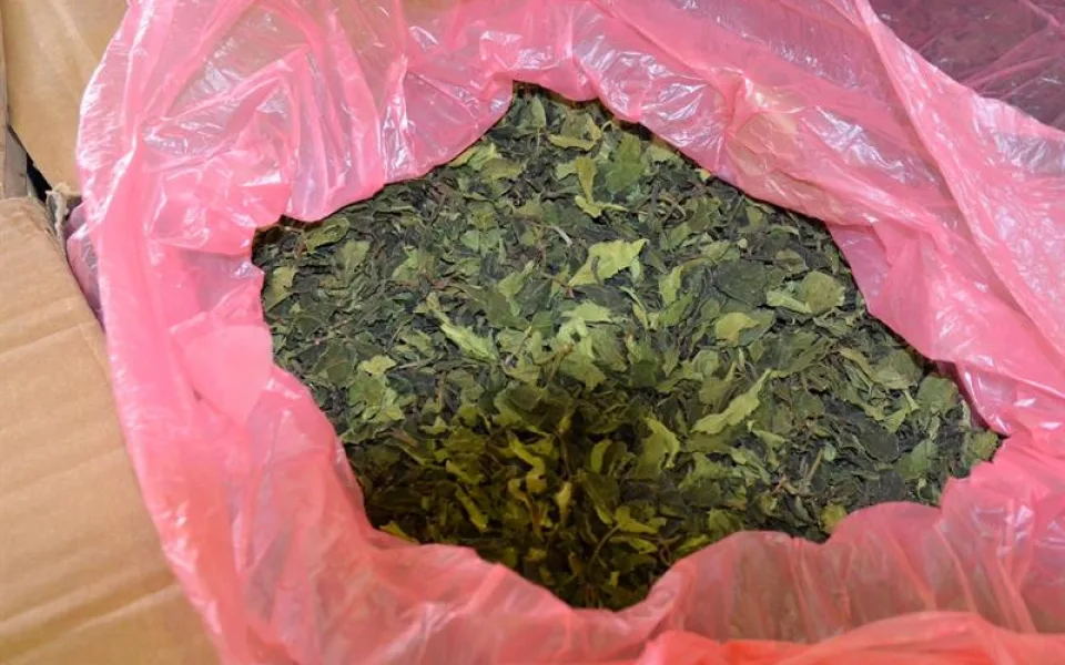 FOTO: Celníci zadrželi na letišti v Praze 462 kilogramů rostlinné drogy