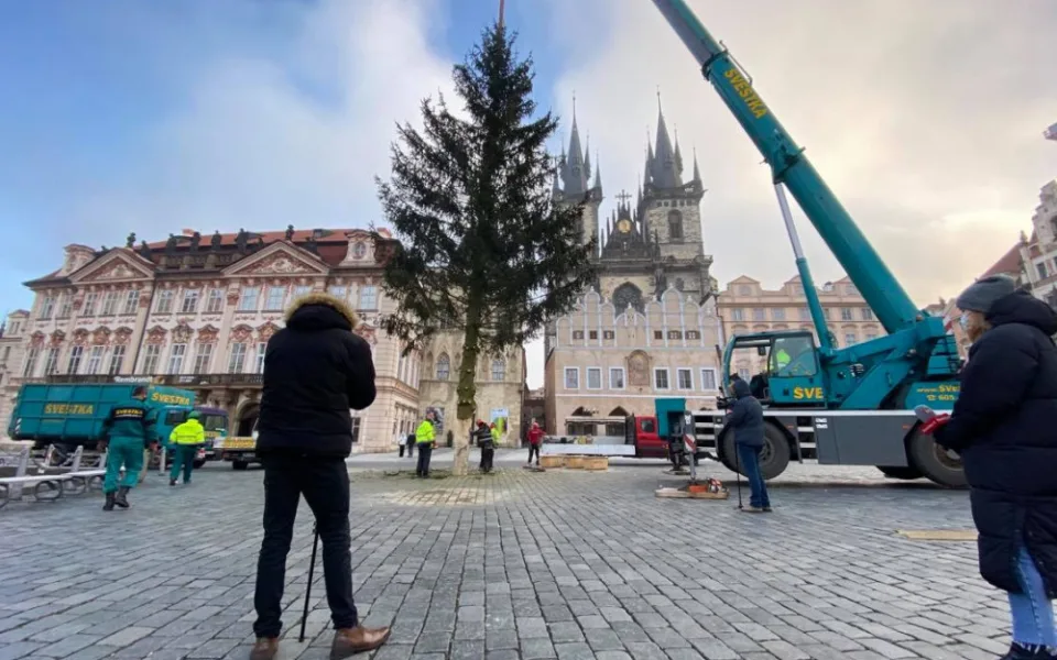 FOTO: Strom ze Staroměstského náměstí již zmizel. Z kmene bude nábytek pro domov seniorů