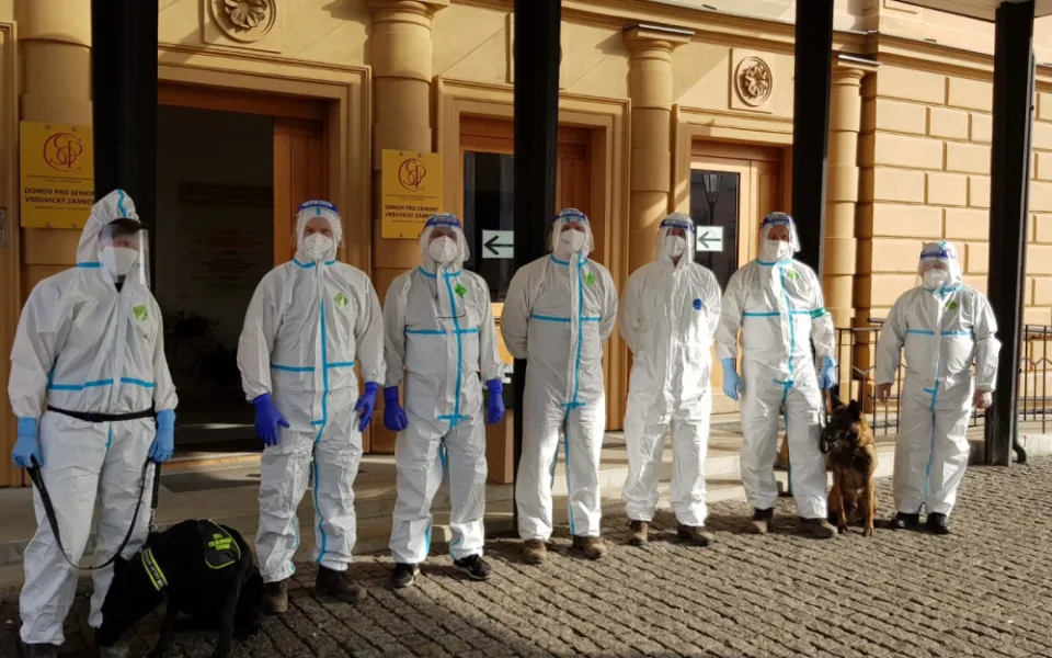 Psi označí pacienta s covidem do deseti vteřin. Ve výcviku jim pomáhali pražští senioři