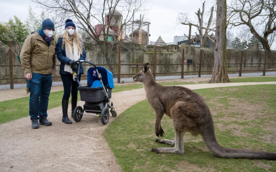 Do zoo přišlo od pondělí přes 8000 návštěvníků, do botanické zahrady zavítalo 2000 lidí