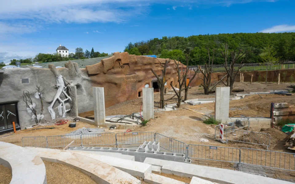 Gorily v pražské zoo dostanou nový pavilon. Bude stát 300 milionů a hotov bude na podzim 2022