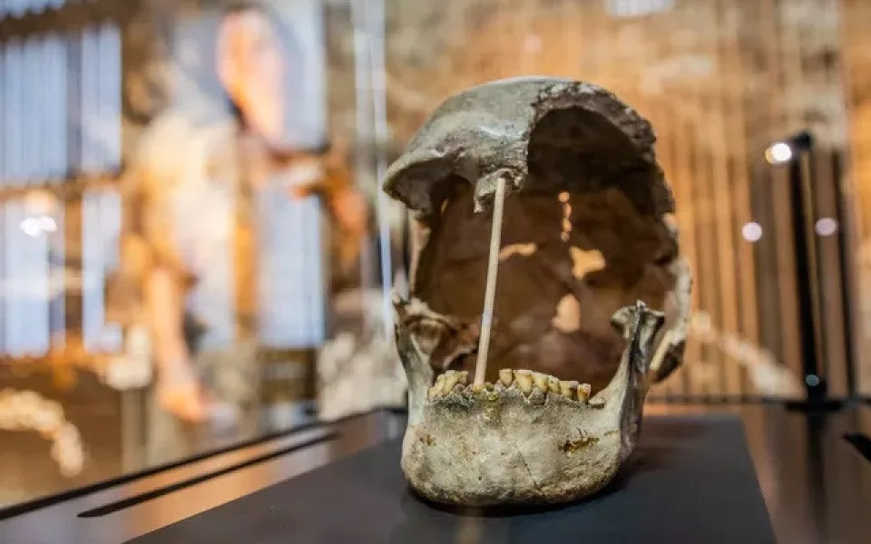 Národní muzeum vystavilo lebku ženy, která žila před více než 45.000 lety