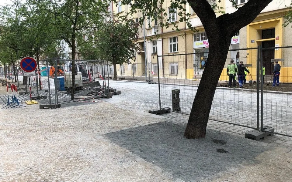 Budou stát stromy v Praze ve vyzděných betonových kobkách a zasypány mlatem?