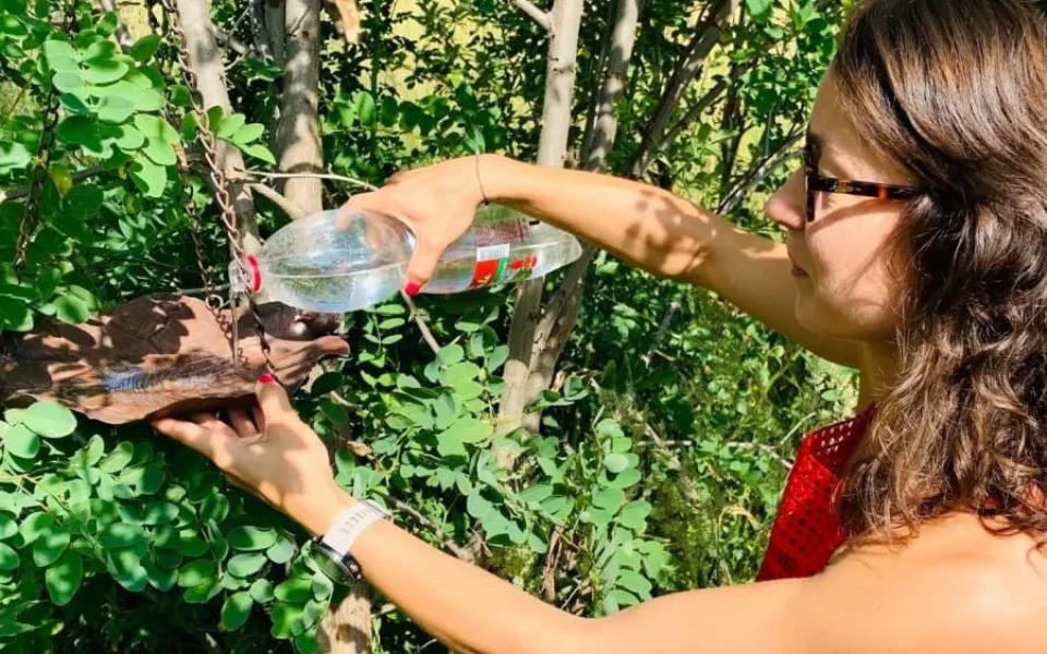V parcích v Praze 3 vznikla pítka pro ptáky. Lidé si jej mohou vyrobit i doma