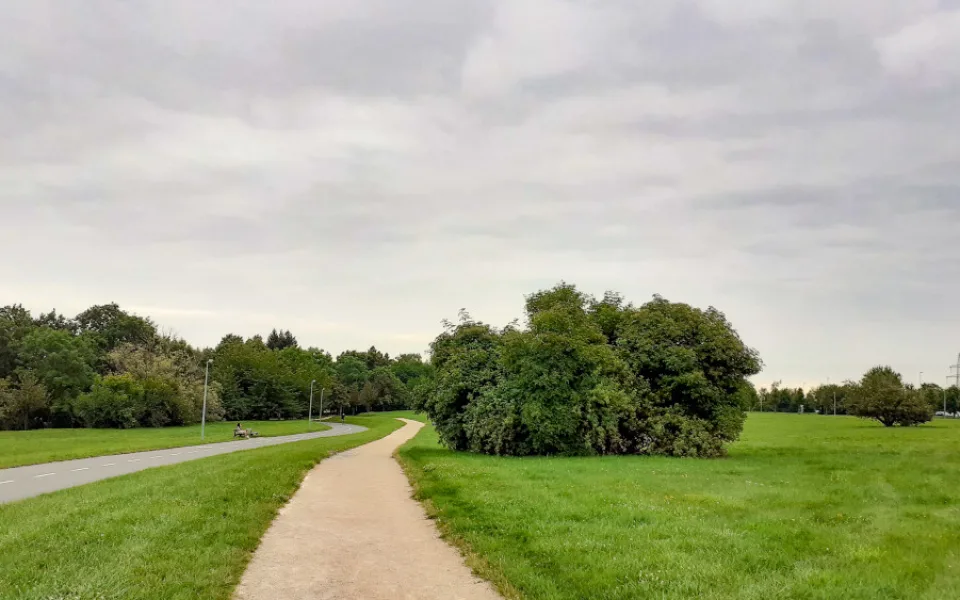 Ladronka