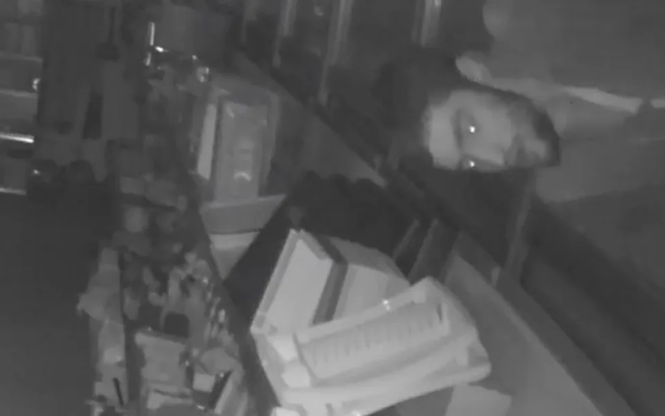 Spiderman se vloupal do prodejny přes otevřenou ventilačku
