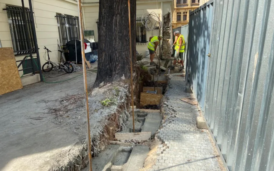 Praha obnovila narušenou zeď v centru města bez nutnosti pokácet jedinečný strom