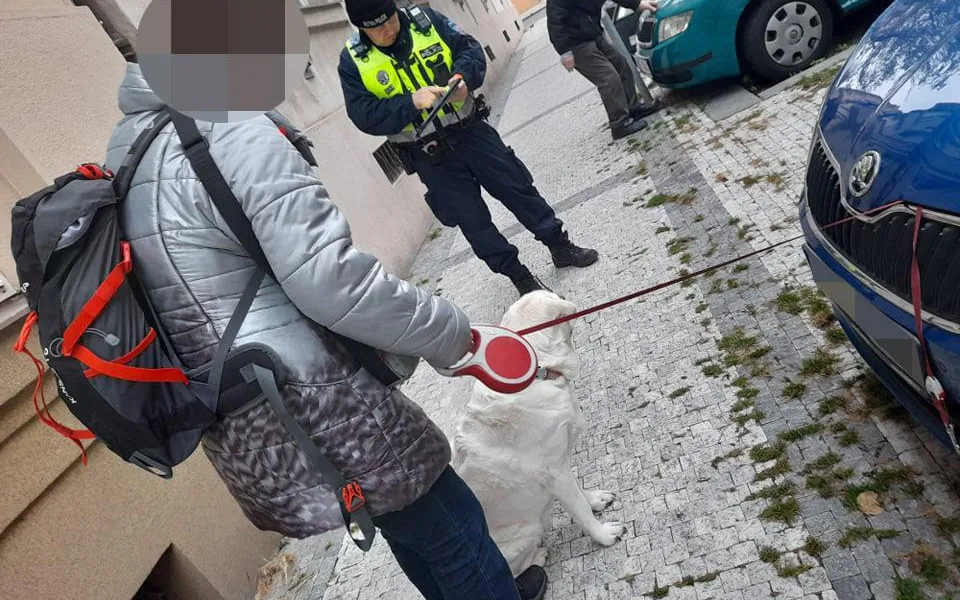Pejskařka v nesnázích. Vodítko zasekunuté pod kapotou auta museli vyprostit strážníci.