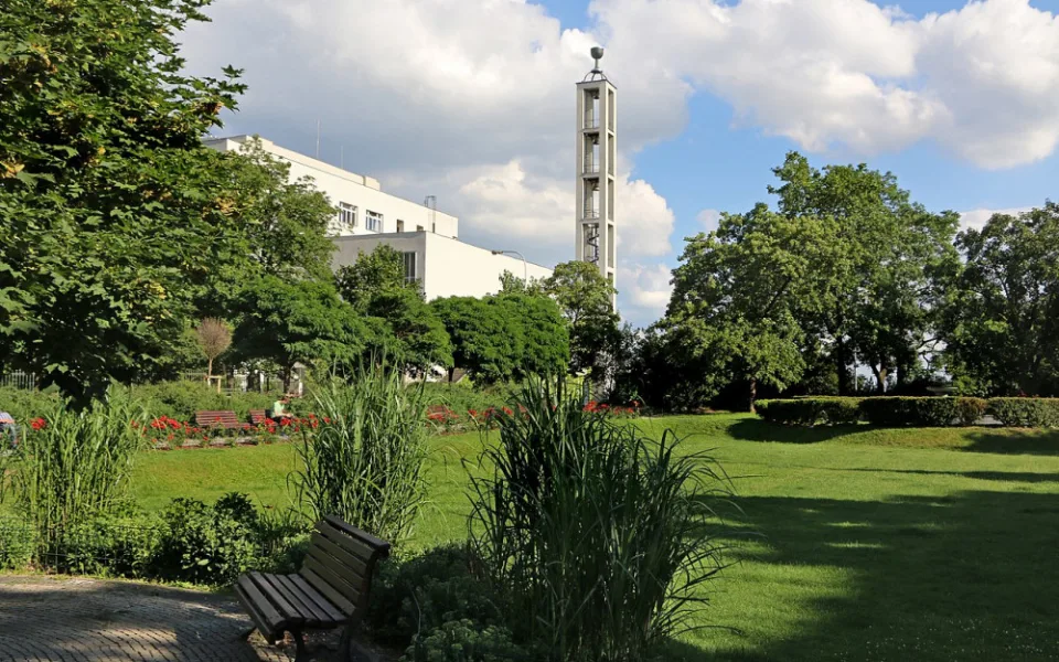 Dvojka ve svých parcích vysází 65 nových stromů. Chceme, aby se u nás občanům dobře žilo, tvrdí starostka