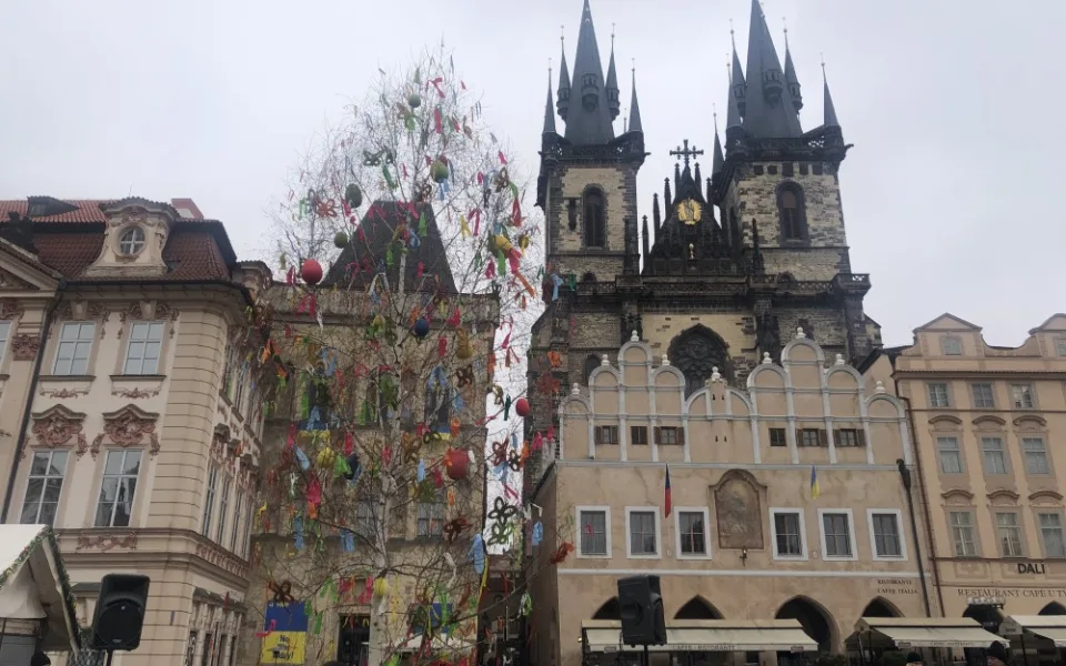 Ozdobená břízka nahradí podium.