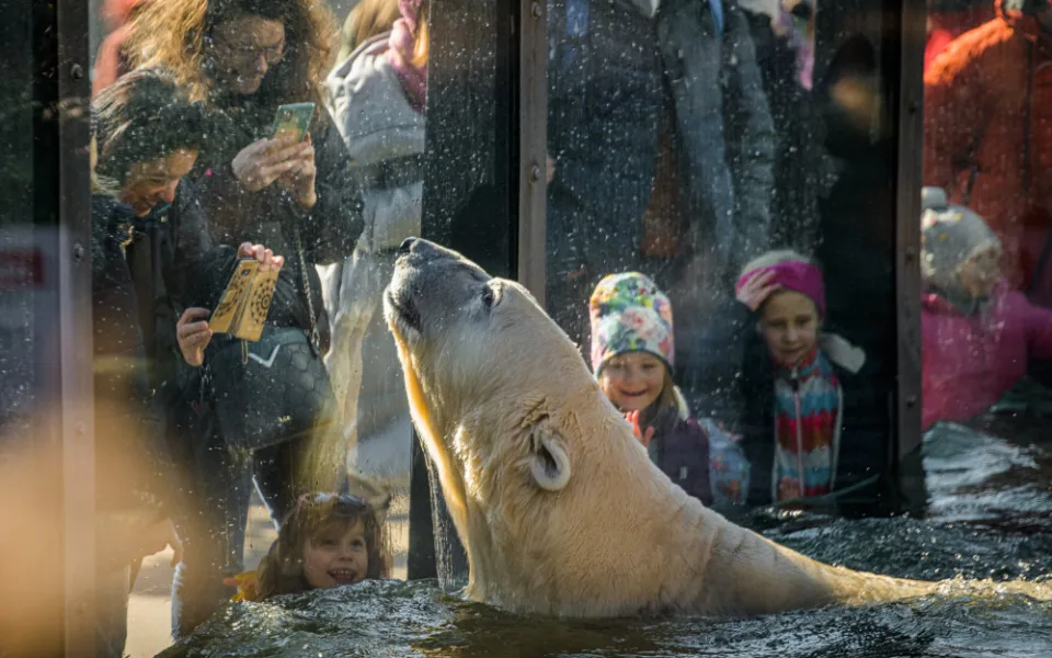 Pražská zoo končí se symbolickým vstupným pro ukrajinské ženy a děti. Od neděle zaplatí běžné vstupné
