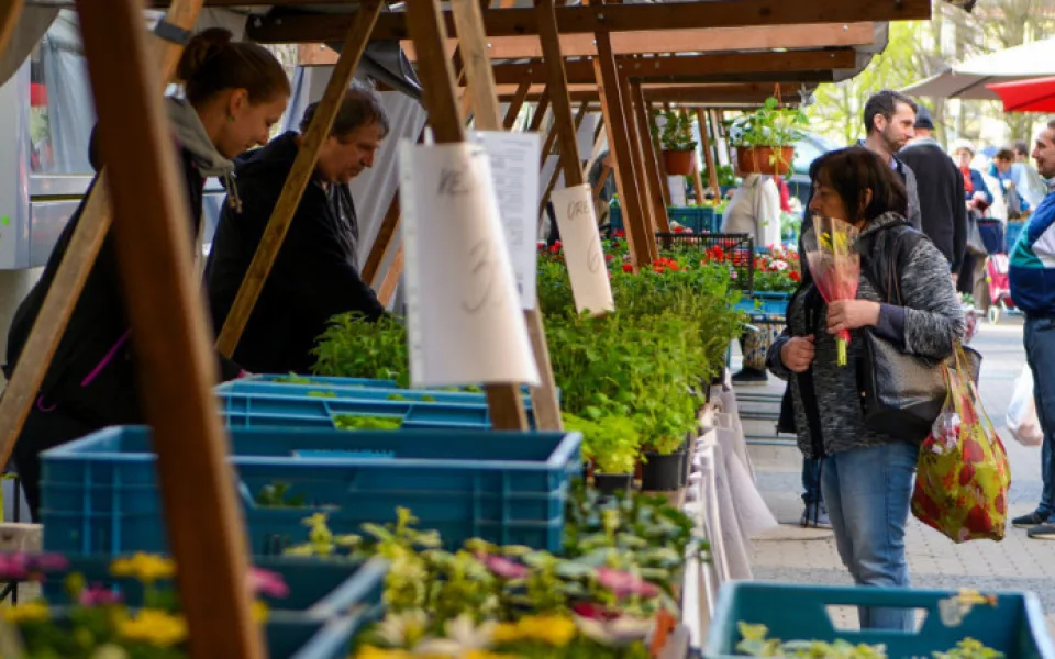 Na Ohradě budou farmářské trhy, rozhodla Praha 3