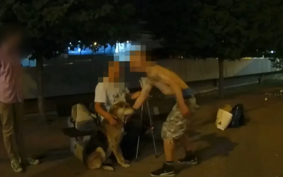 Muži na zastávce obtěžovali kolemjdoucí.