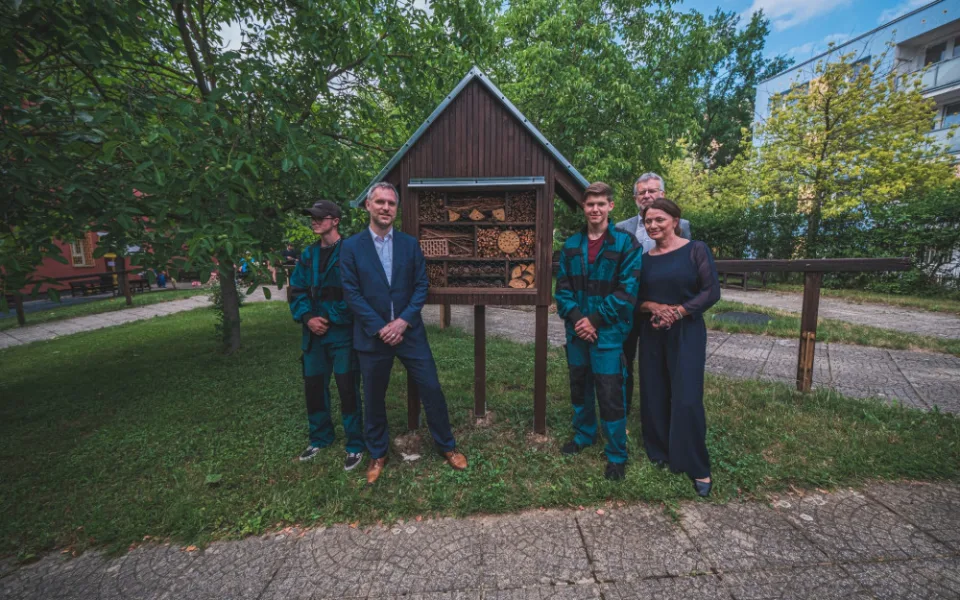 Z vánočního stromu se stal hmyzí hotel a knihobudky pro seniory