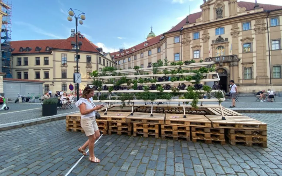 Hydroponie je ideální způsob, jak dostat zeleň do města
