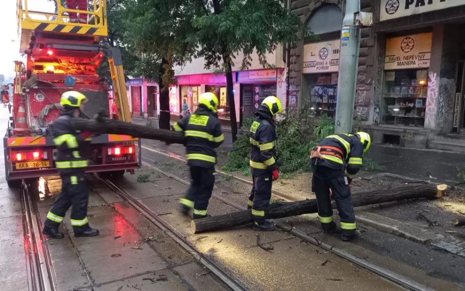 V ulici Ječná spadl strom na troleje