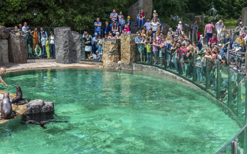 Zoo Praha