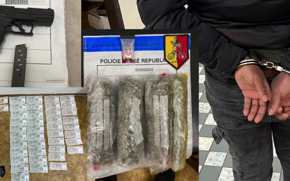 Kriminalisté za půl roku zadrželi 110 prodejců drog.