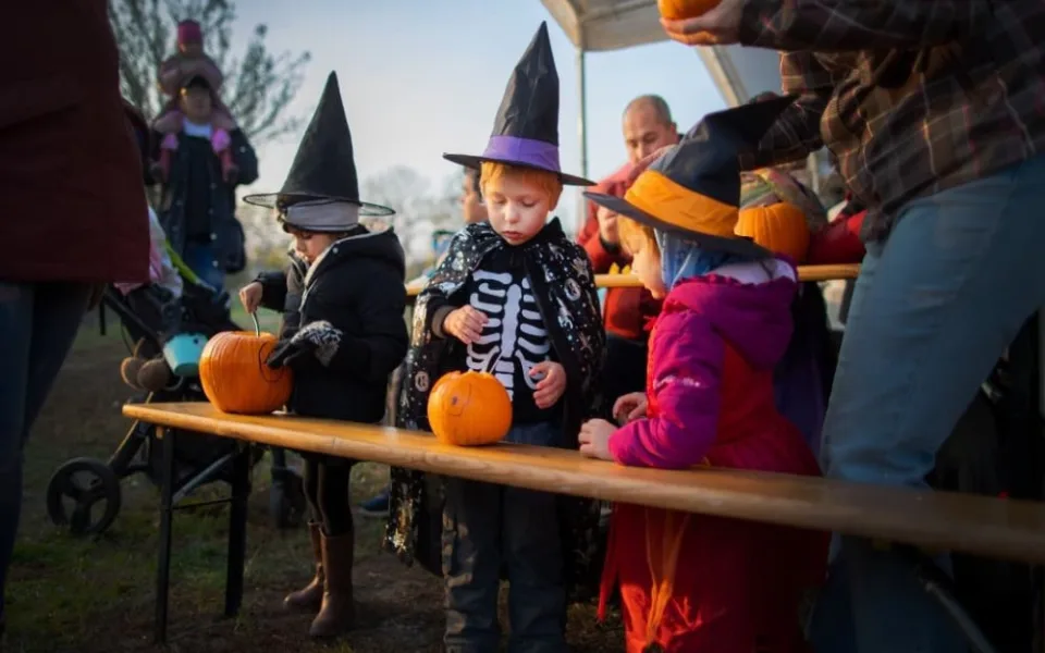 Dýně a strašidla. Botanická zahrada chystá halloweenské odpoledne