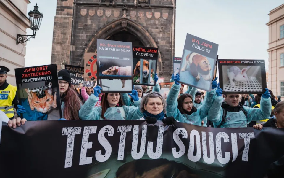 VIDEO: Účastníci průvodu Prahou protestovali proti pokusům na zvířatech