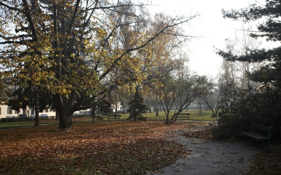 Park Na Solidaritě projde revitalizací. Bude mít nové cesty i osvětlení