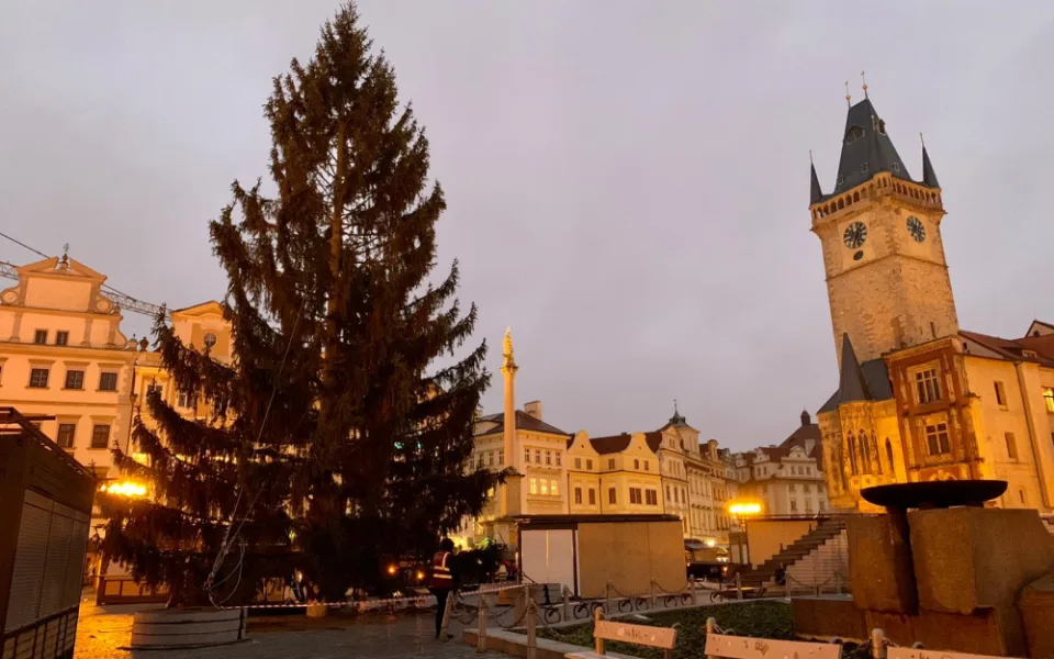 VIDEO: Na Staroměstském náměstí v Praze už stojí vánoční strom