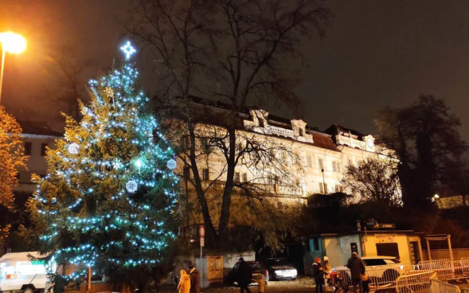 Strom na Elsnicově náměstí.