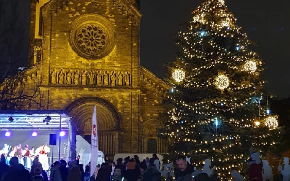Anketu o nejkrásnější vánoční strom ovládl smrk z Karlína