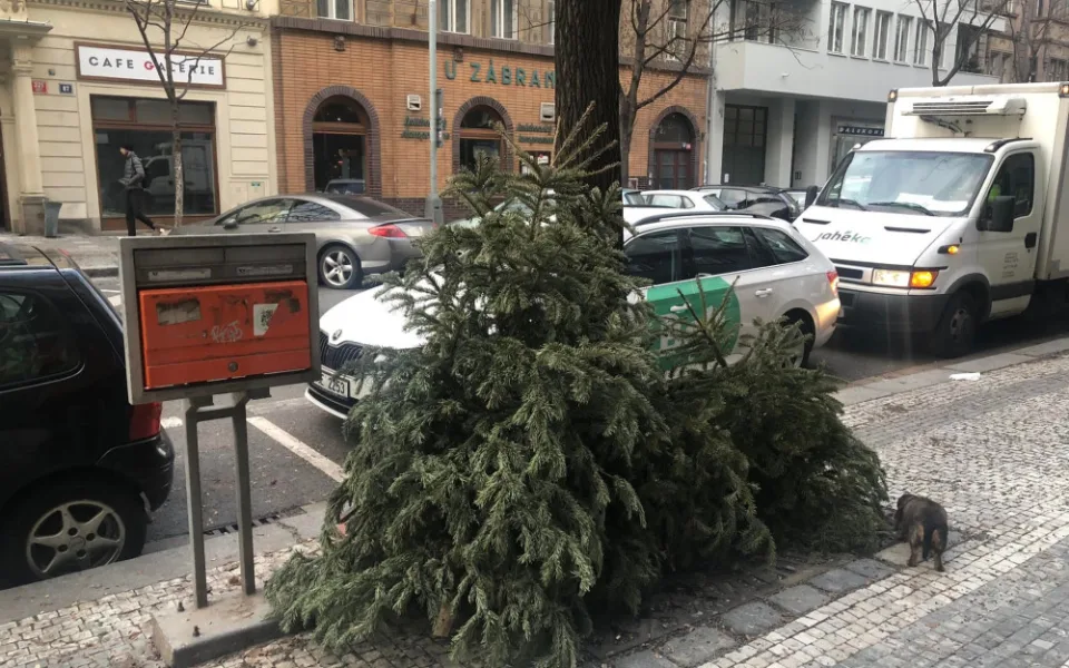 Takhle ne. Kam vyhodit vysloužilý vánoční stromek?