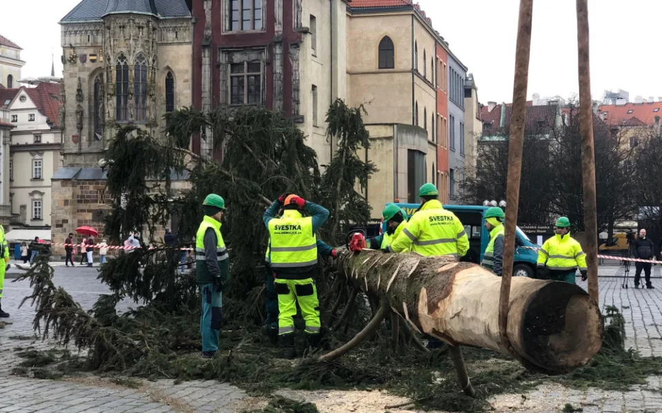 VIDEO: Pražský vánoční strom šel k zemi. Budou z něj
