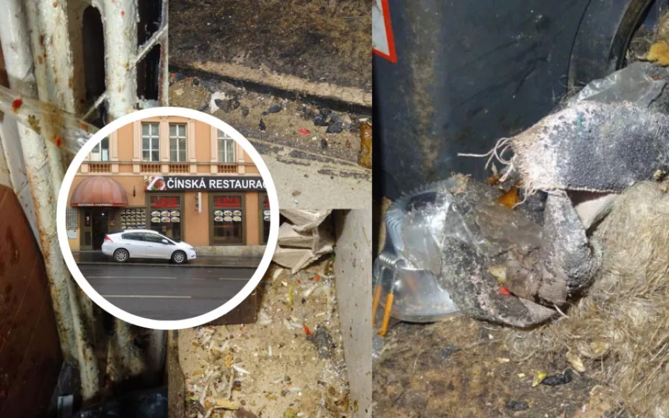 Myší trus a špína. Inspekce zavřela čínskou restauraci v Praze 2
