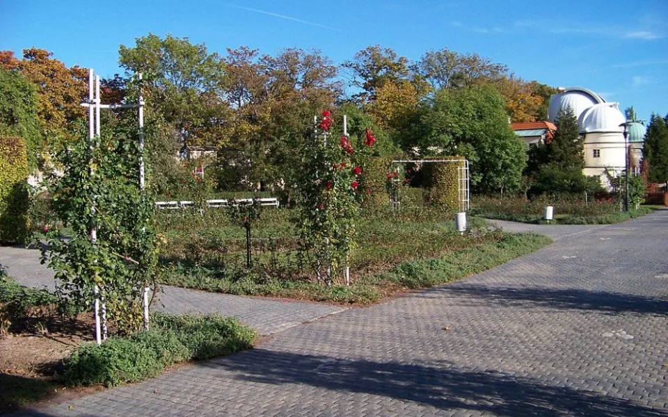 Růžová zahrada.