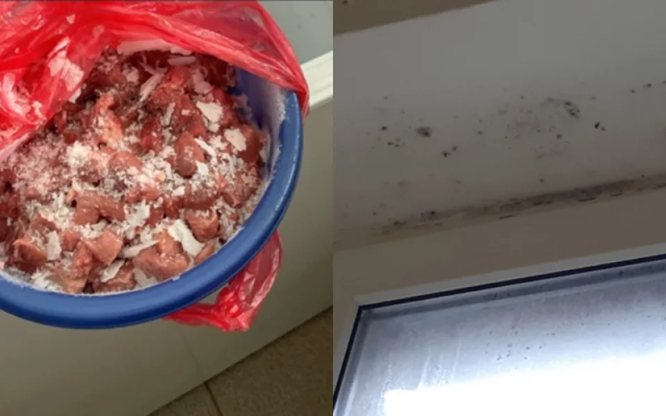 Hygienici objevili neoznačené maso nebo plesnivé okno.