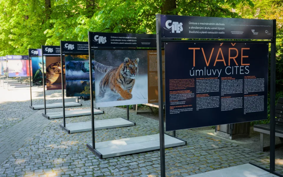 Zoo Praha