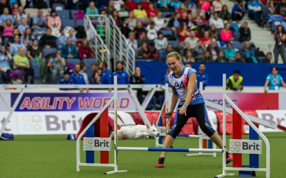 Mistrovství světa agility v Liberci se nezadržitelně blíží, vstupenky mizí