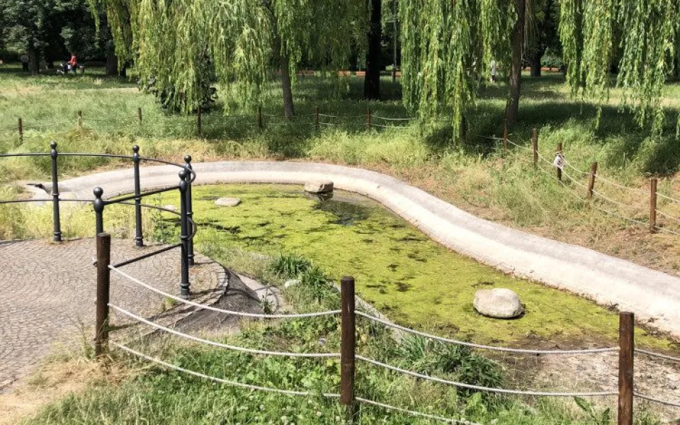 Voda zůstane zelená ještě dva měsíce.