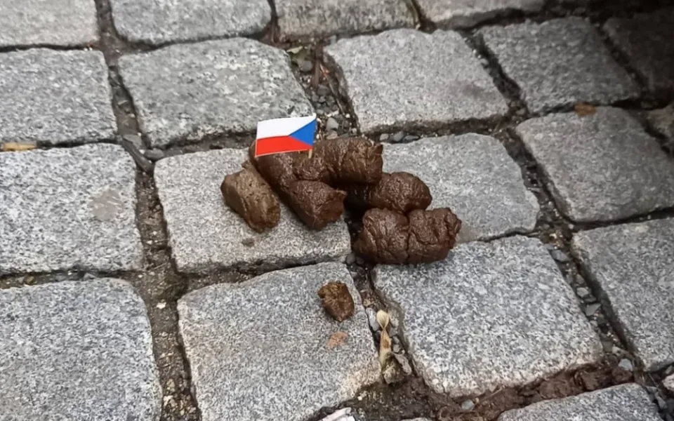 ilustrační foto