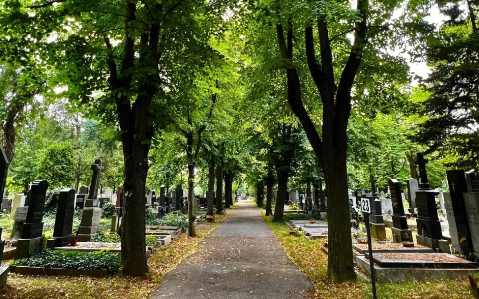 ilustrační foto