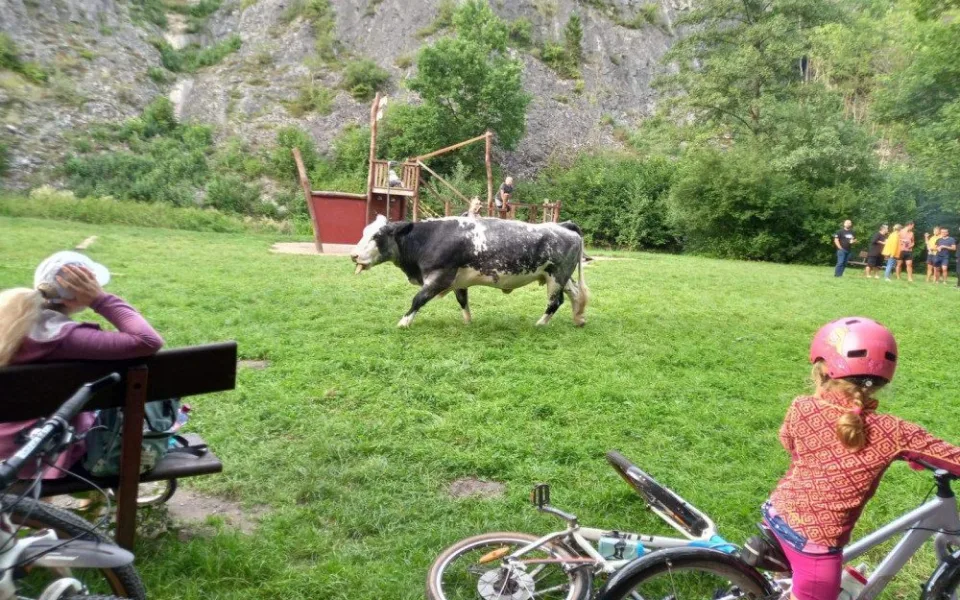 Neposedná stračena vyděsila návštěvníky dětského hřiště v Praze