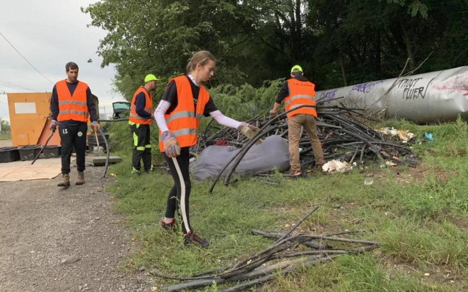 Podívejte se, jaké materiály převládaly na zlikvidované černé skládce