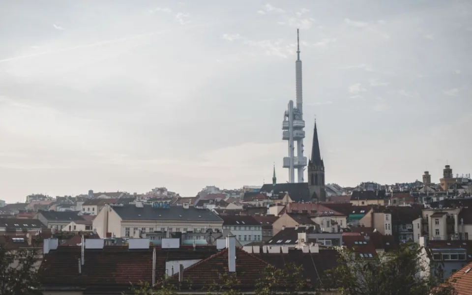Praha 3 sází nové stromy. Uvažuje i o dolním Žižkově