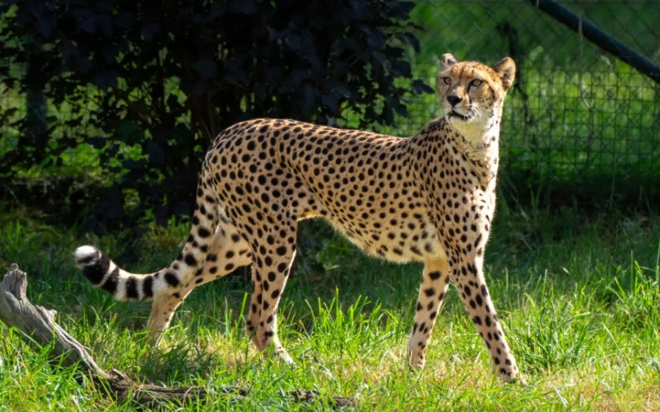 Zoo Praha