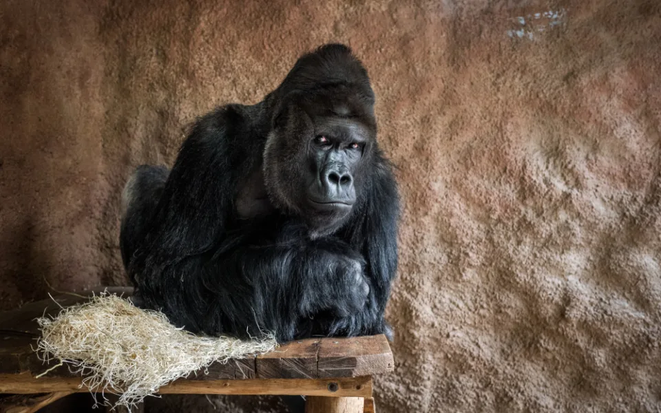 Zoo Praha