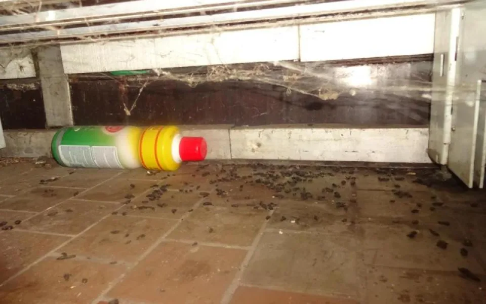Myší bobky, pavučiny a prach. Večerku na Žižkově inspektoři zavřeli