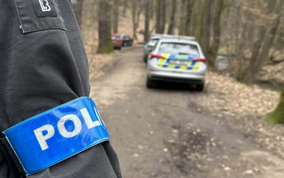Muž znásilnil ženu v Kunratickém lese. Pátrají po něm desítky policistů
