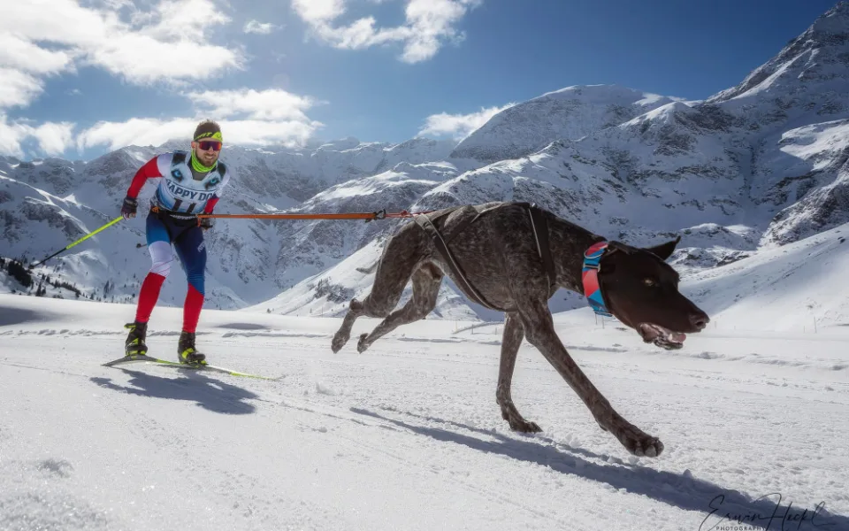 Lékař, sportovec a nastávající otec Alex Nosek bojuje s vážnou nemocí. Za dva dny mu lidé poslali miliony