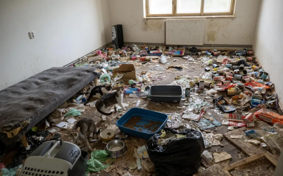 Zápach, výkaly, odpadky. Ve zdevastovaném bytě živořily čtyři desítky koček