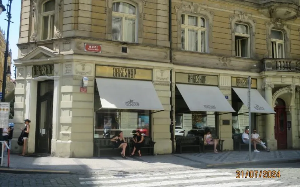 Pekárně v centru Prahy hygienici okamžitě zavřeli kuchyň. Při kontrole tam našli mravence, plíseň i odpadky