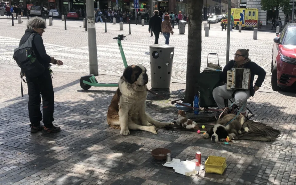 Ilustrační foto